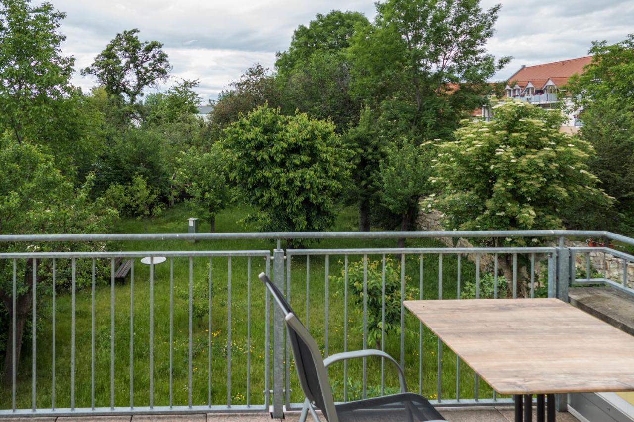 Hundemuede In Apartment Dresden