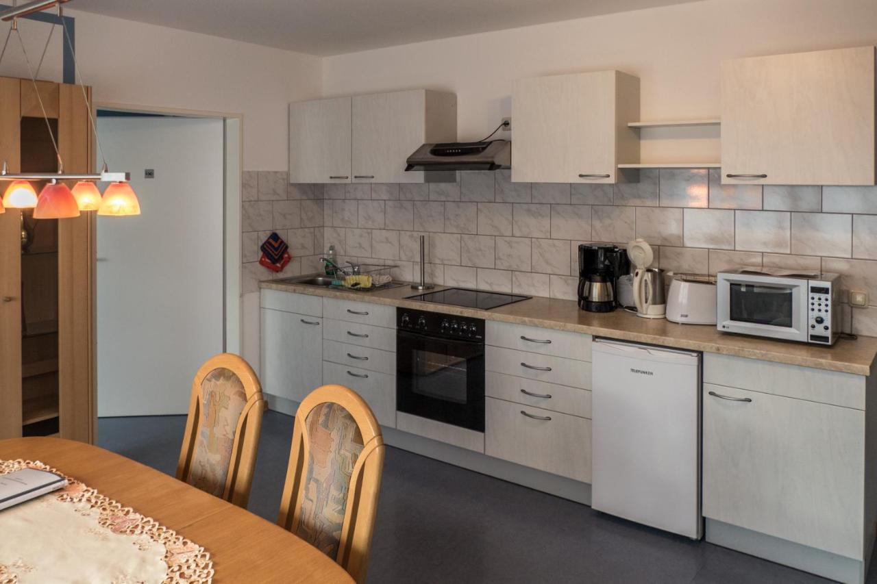 Hundemuede In Apartment Dresden